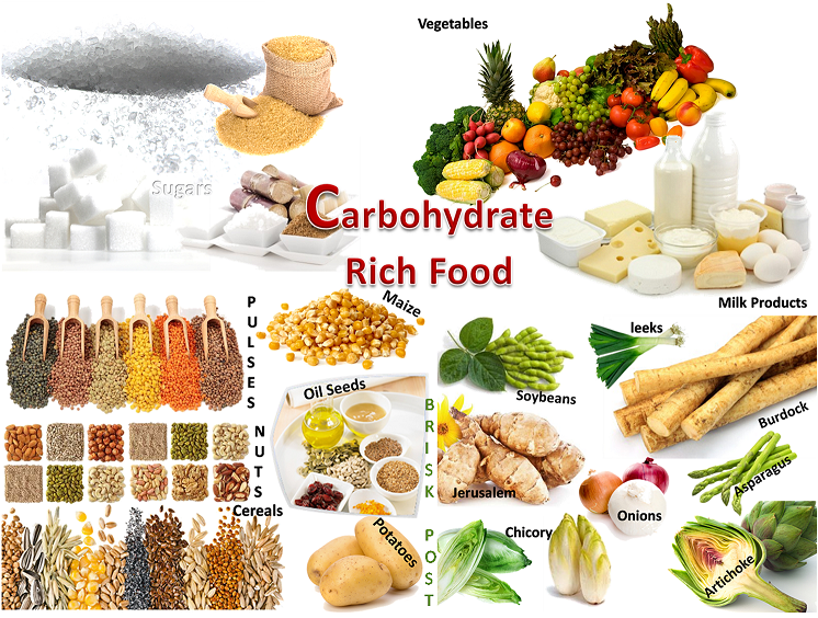 Carbohydrate And Diets The Danii Foundation